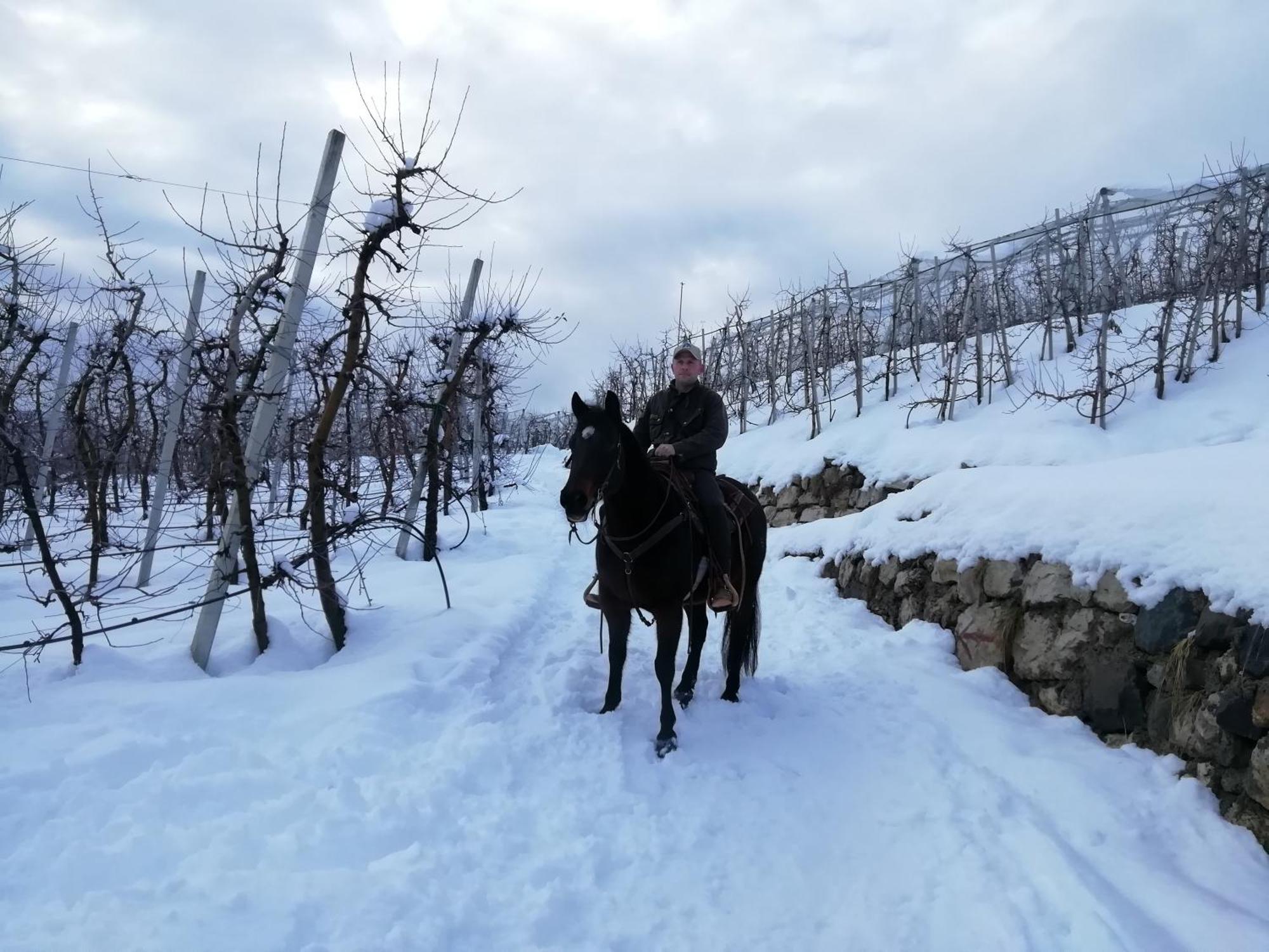 Horse House Bed & Breakfast Romallo Dış mekan fotoğraf