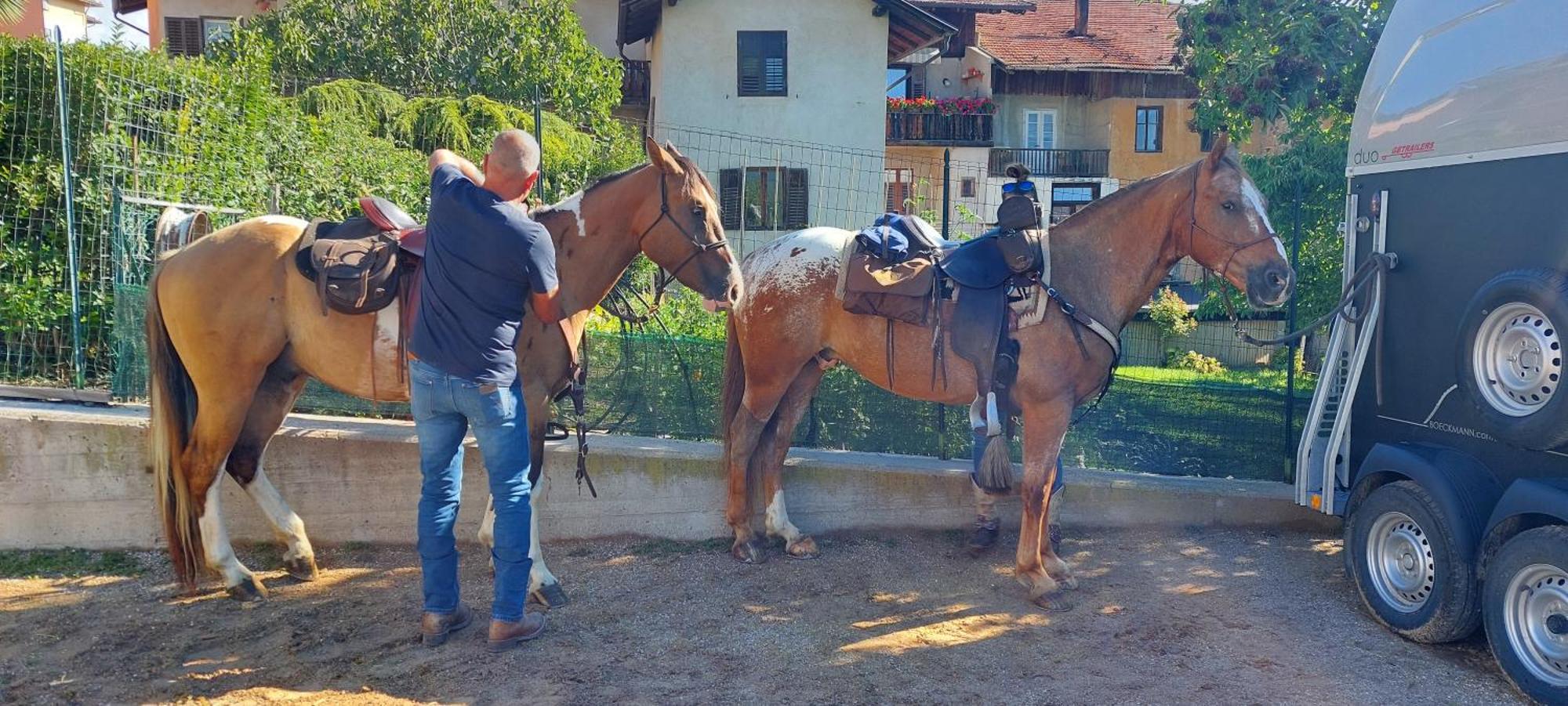 Horse House Bed & Breakfast Romallo Dış mekan fotoğraf
