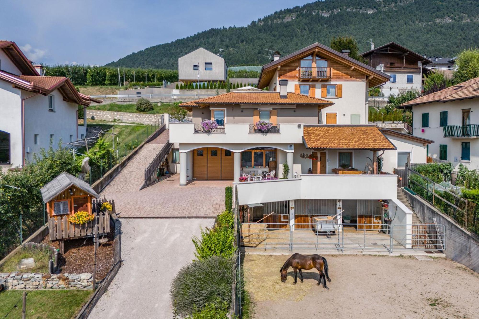Horse House Bed & Breakfast Romallo Dış mekan fotoğraf
